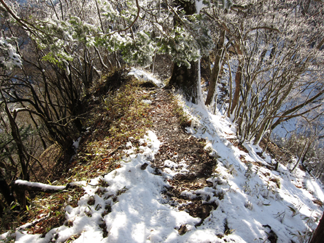 20191129hike (438)